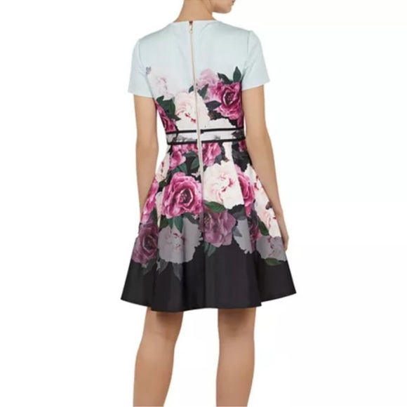 TED BAKER Wilmana Magnificent Skater Dress in Mint Floral - Size 4 - Picture 2 of 10